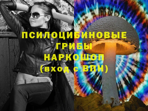 прущие грибы Осинники