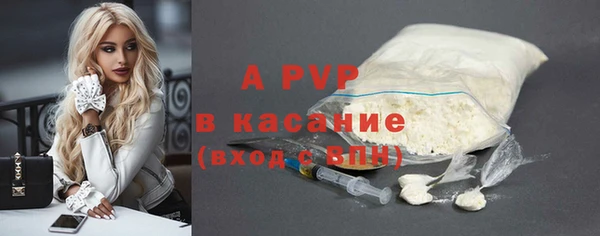 гидра Няндома