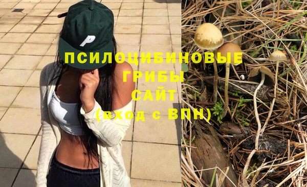 марки lsd Чердынь