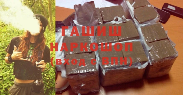 гидра Няндома