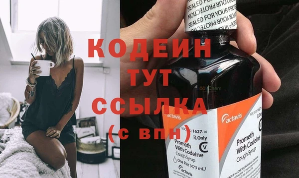 прущие грибы Осинники