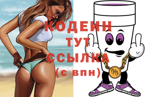 гидра Няндома