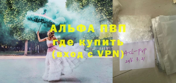 гидра Няндома