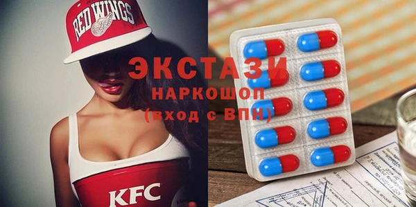 гидра Няндома