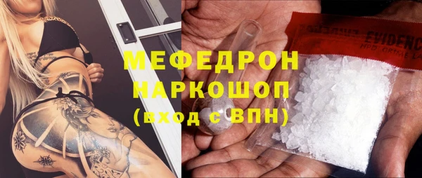 гидра Няндома