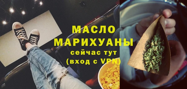 гидра Няндома