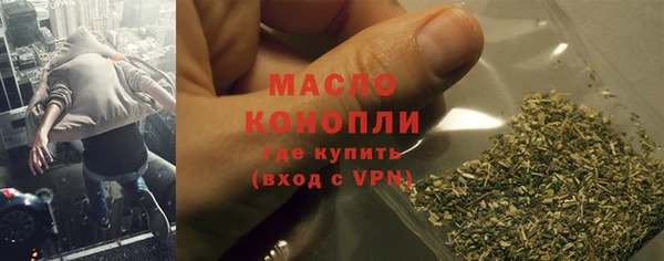 гидра Няндома